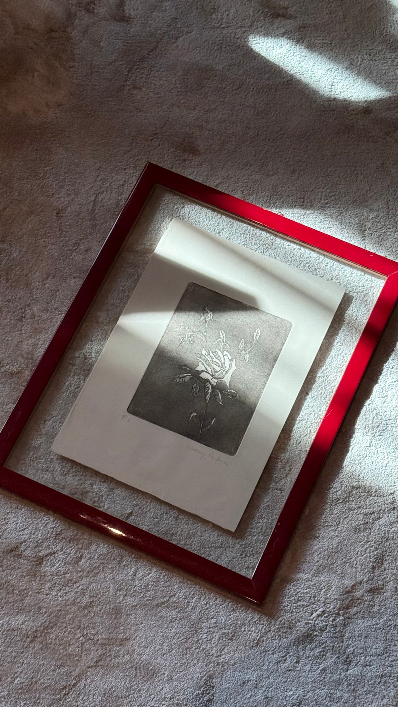 Signed Aquatint Print of a Rose