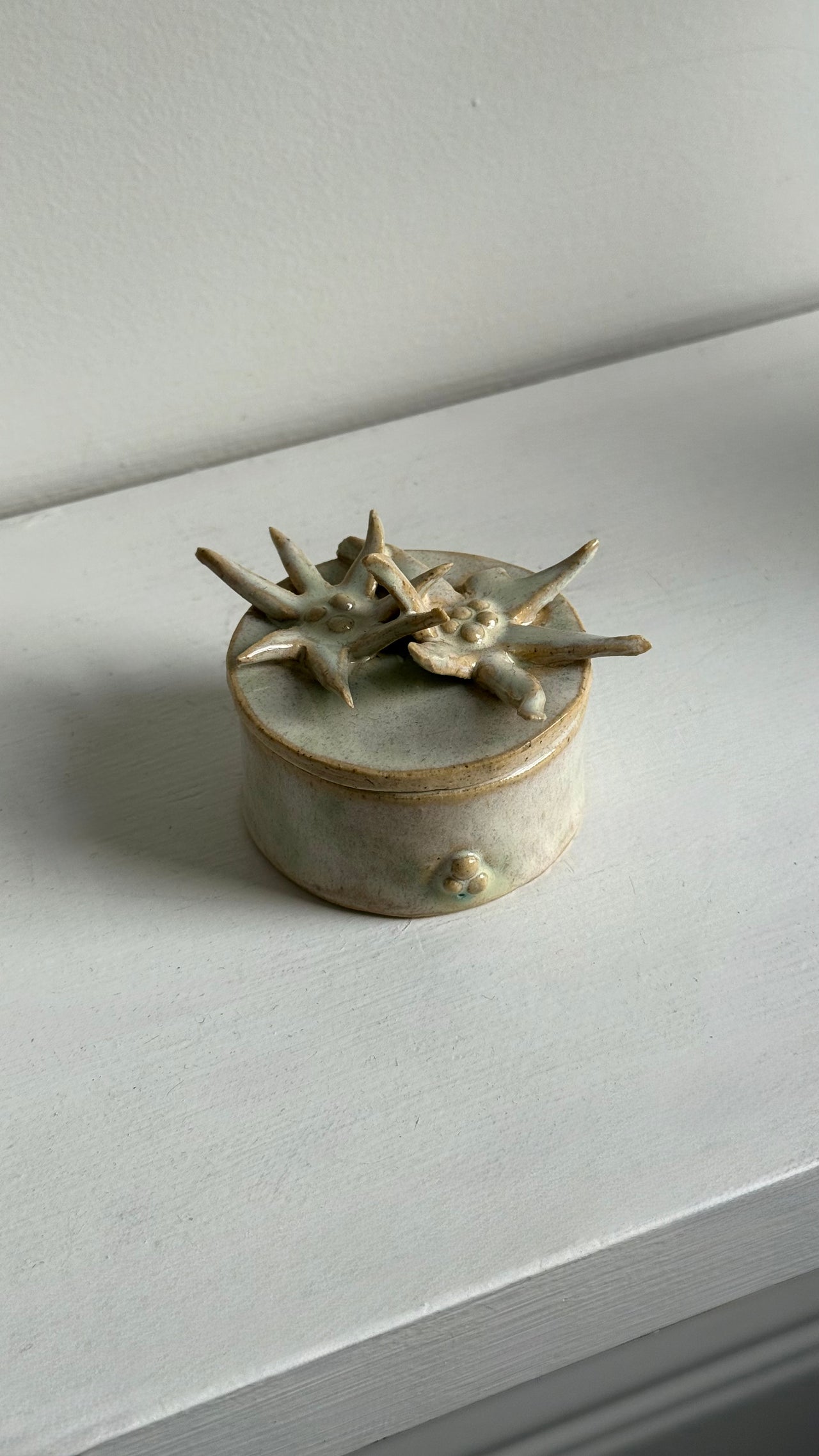 Ceramic Flora Boxes
