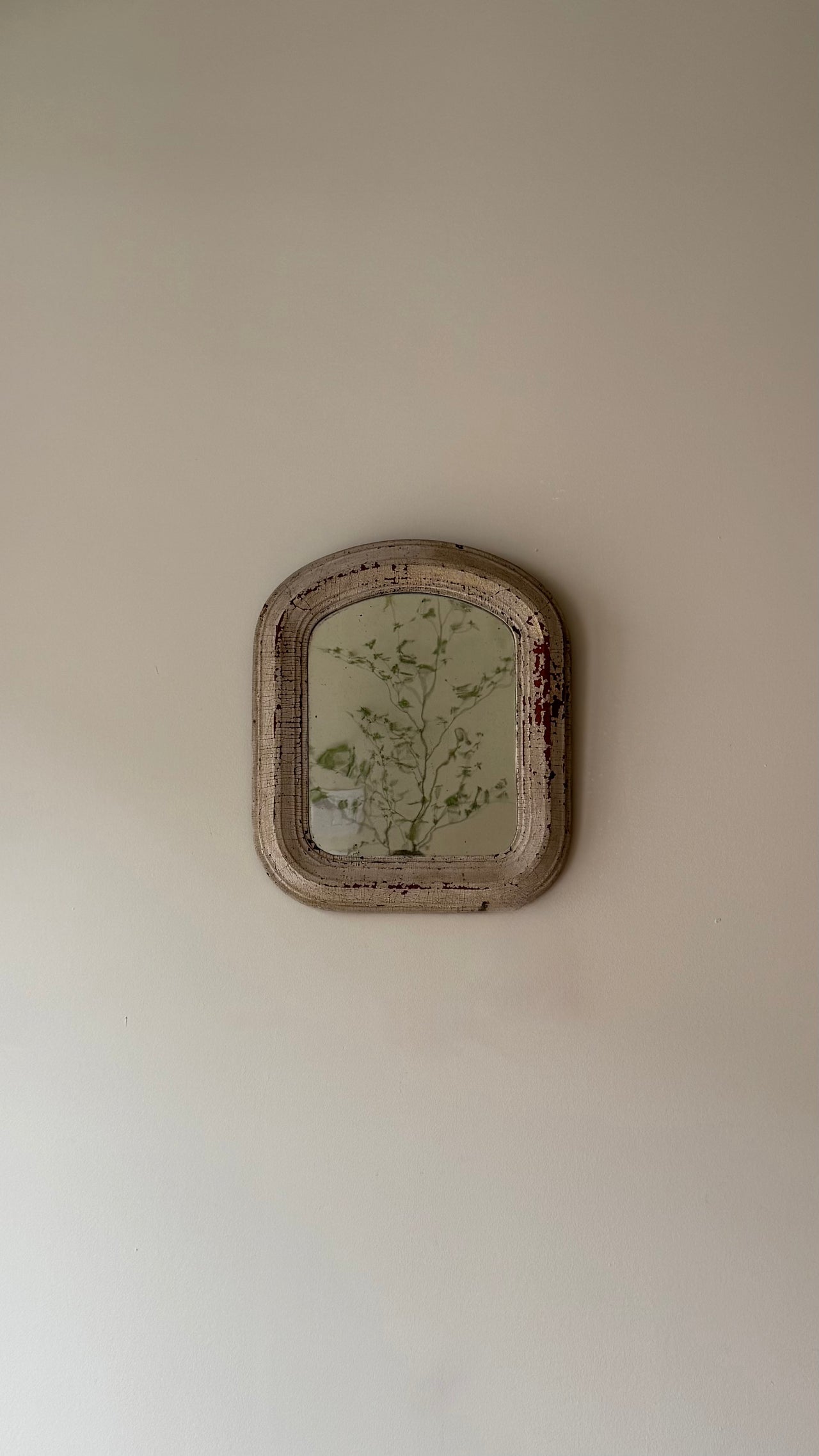 Antique Patinated Wall Mirror